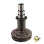Ensemble pignon et arbre tronconneuse BLACK et DECKER GK1830 - GK1940 Ensemble pignon et arbre tronconneuse BLACK et DECKER GK1830 - GK1940