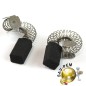 Charbons pour ponceuse - perceuse RUPES