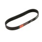 Courroie tondeuse BOSCH ROTAK40