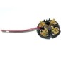 Charbons pour perceuses MILWAUKEE C14PD32C