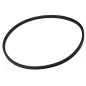 Courroie de traction tondeuse RYOBI RLM4614 - RLM46175YL