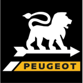 Courroie rabots PEUGEOT RA400 - RA682 - SAVPEM pièces détachées