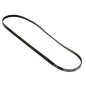 Courroie pour lave linge 1225J5 - POLY V - MAEL